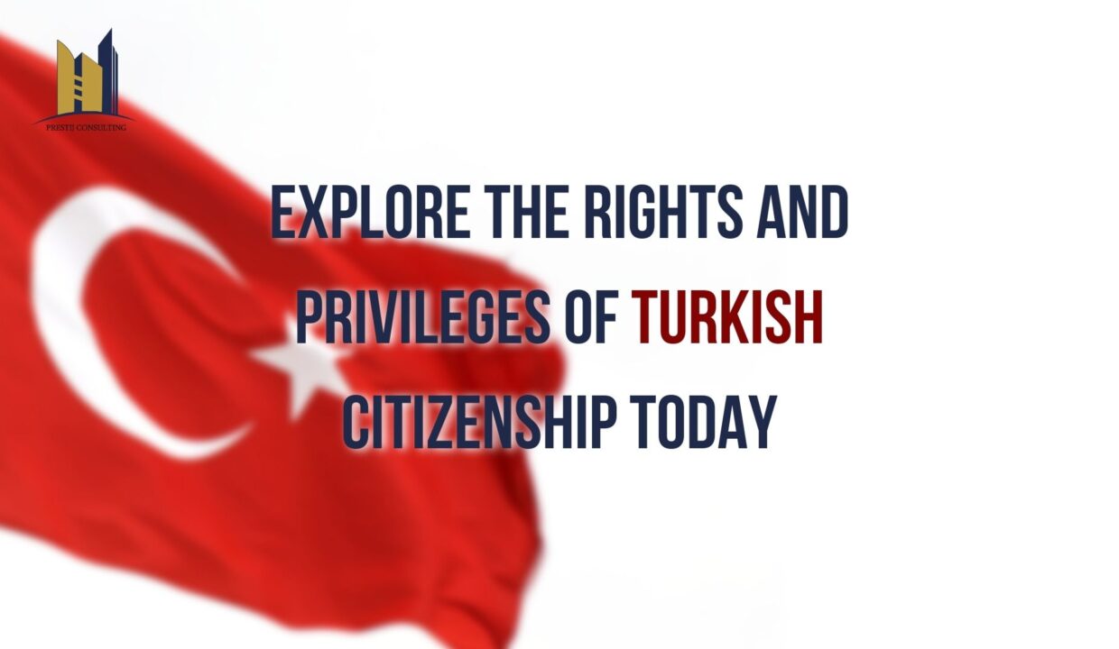 Discover the Rights of Turkish Citizens: Residing, Education, Healthcare, Voting, Jobs, and Travel