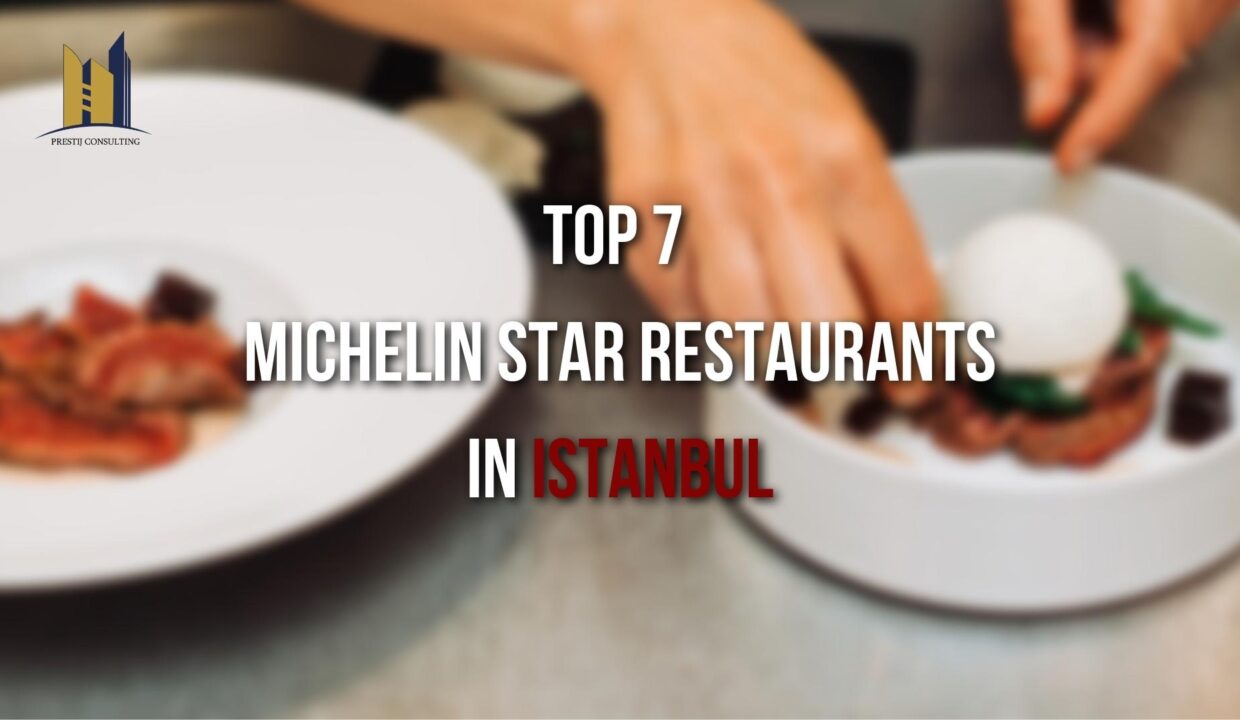 Top 7 Michelin-Starred Restaurants in Istanbul for a Culinary Adventure