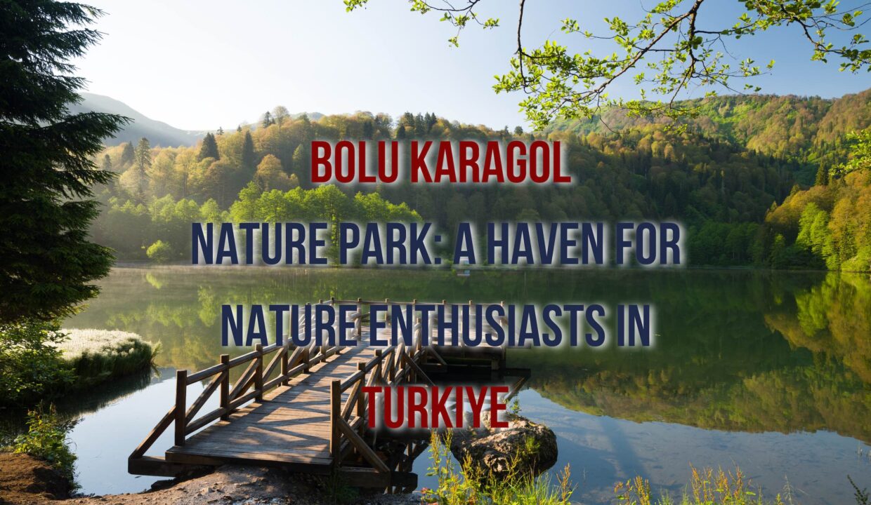 Bolu Karagol Nature Park: A Haven for Nature Enthusiasts in Turkiye