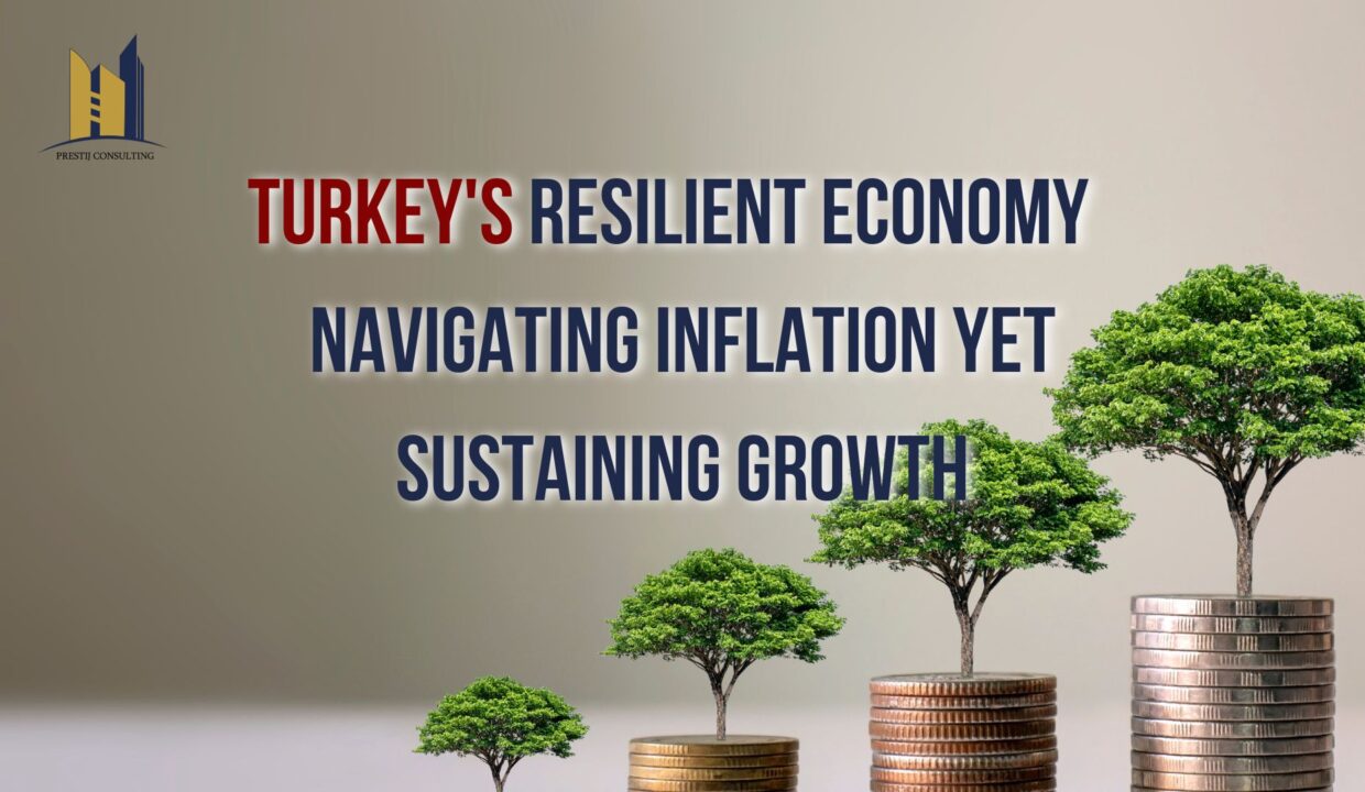 An image depicting a thriving economy with the title "Turkey's Resilient Economy: Navigating Inflation and Sustaining Growth.
