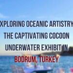 An eye-catching image showcasing the Cocoon Underwater Exhibit in Bodrum, where art and the ocean converge in a mesmerizing display