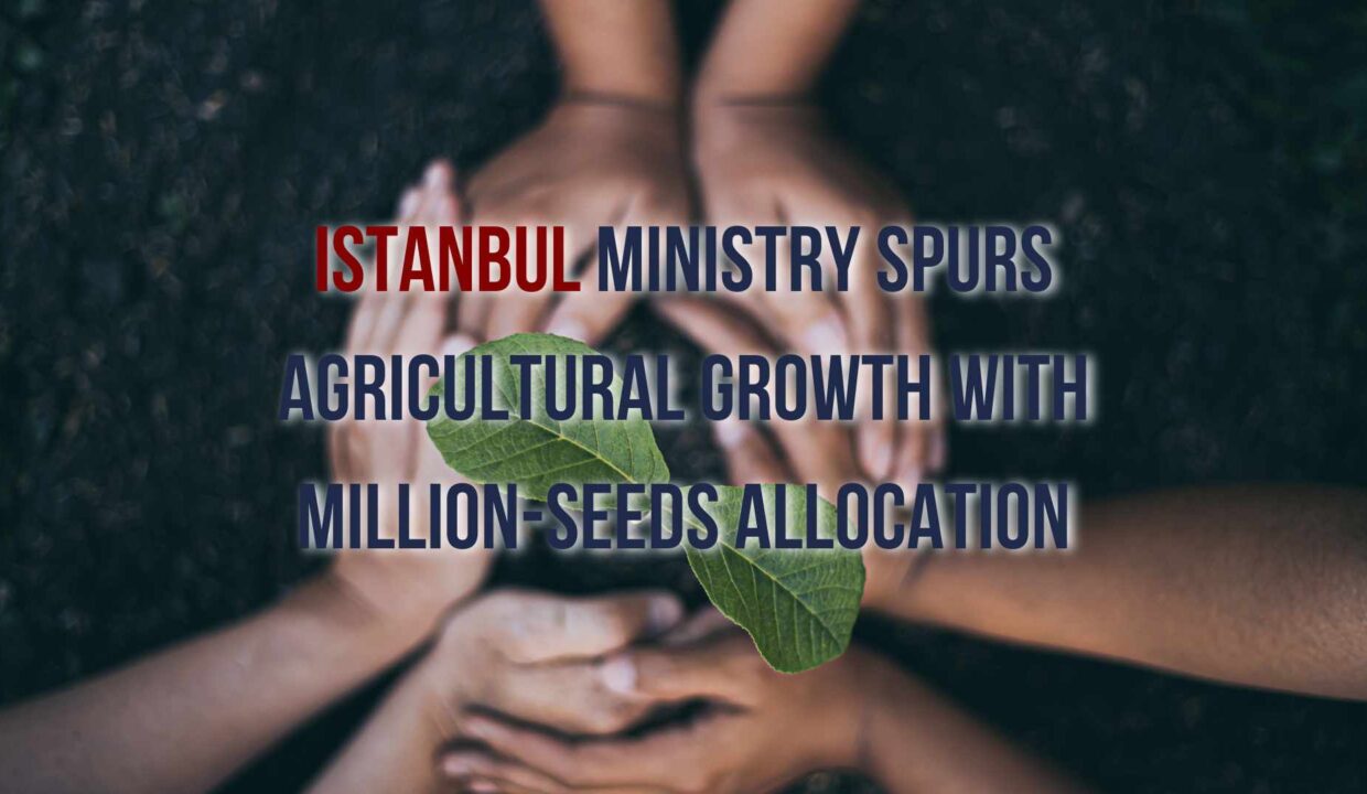 A visual representation of Istanbul's agricultural transformation through the allocation of millions of seeds