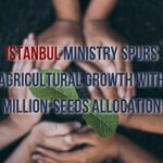 A visual representation of Istanbul's agricultural transformation through the allocation of millions of seeds