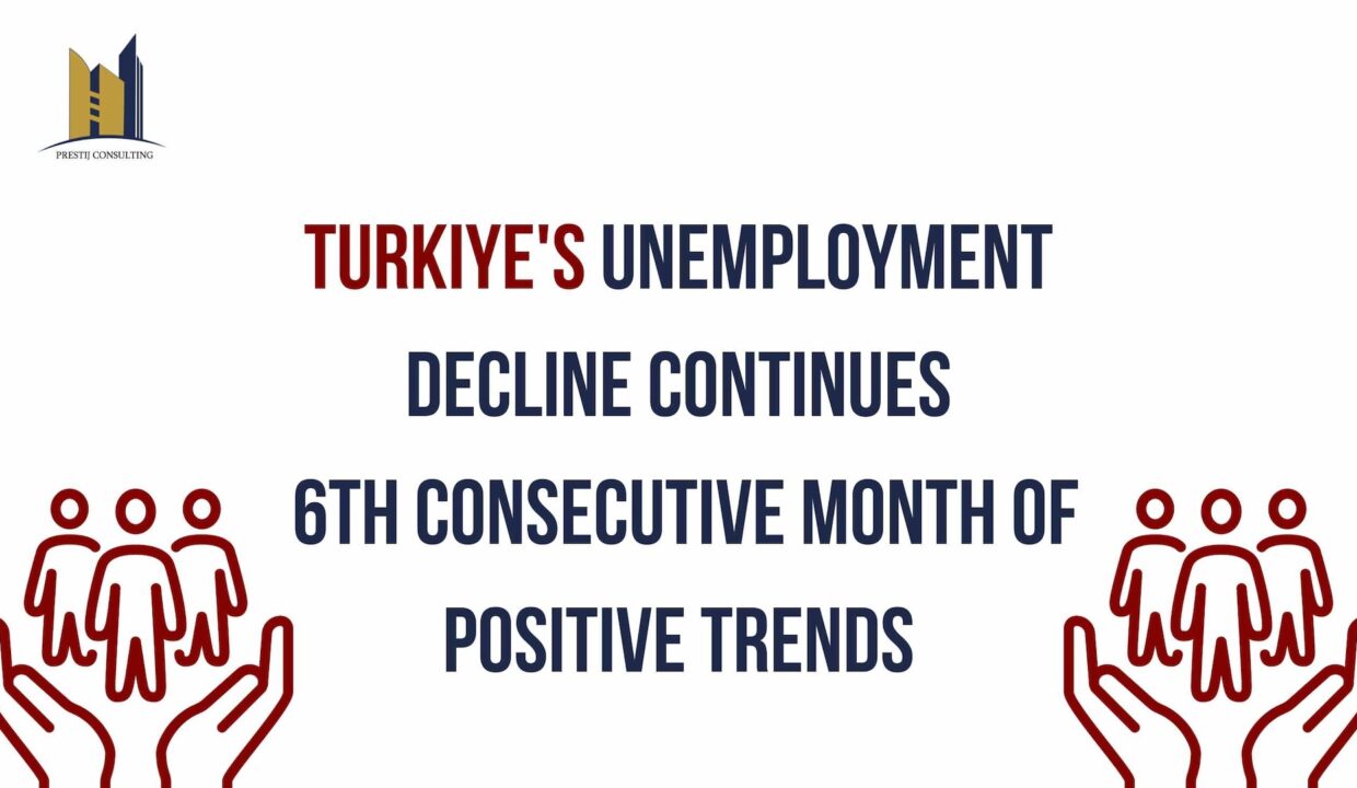 Turkiye's Labor Market Progress: Indicators of Economic Recovery