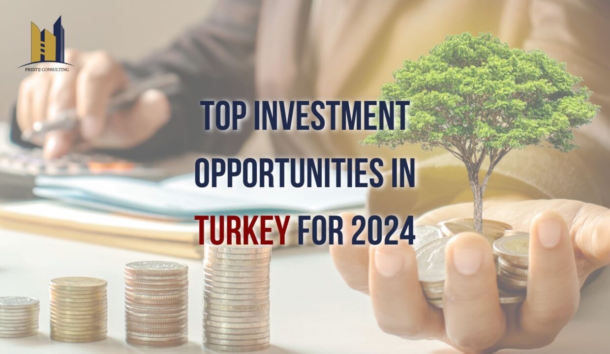 Turkey investment opportunities 2024 - Prestij Consulting