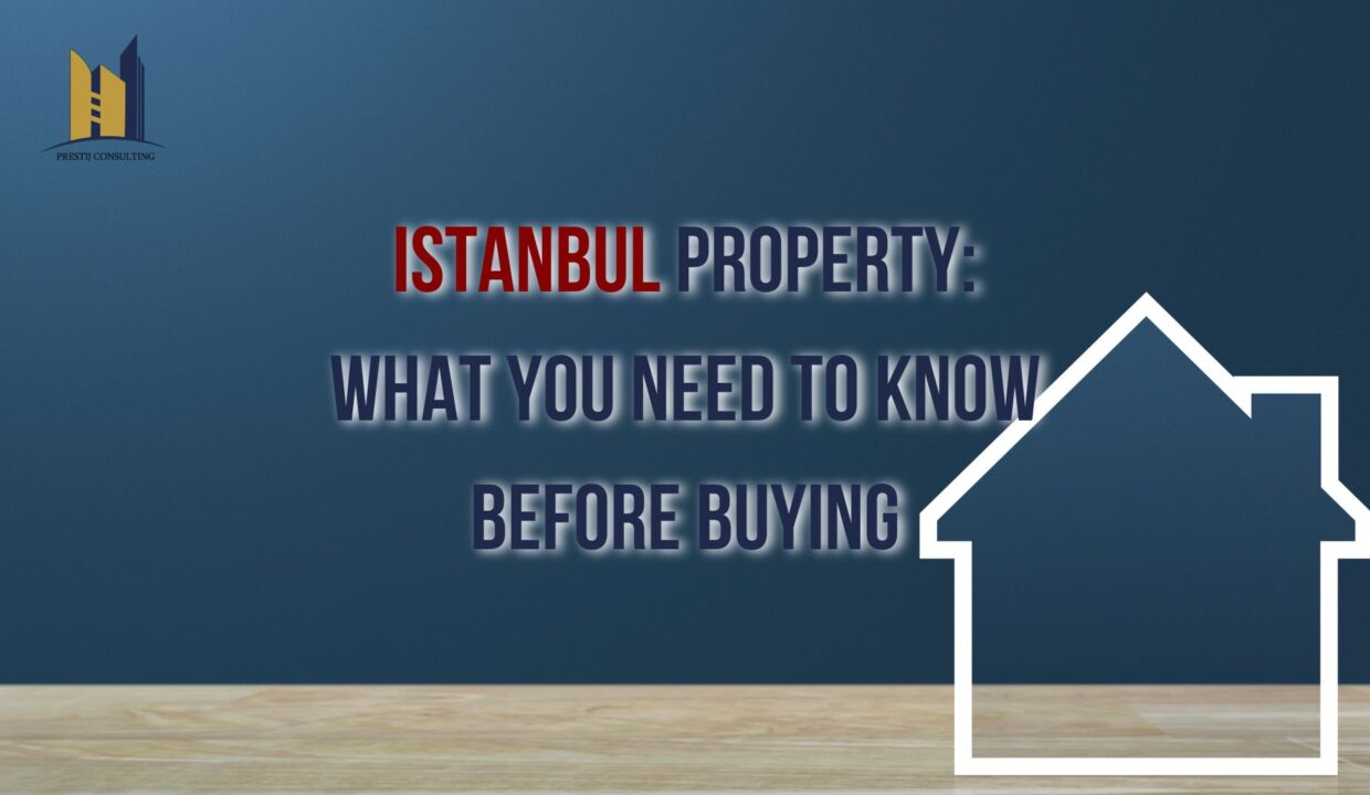 Istanbul Property